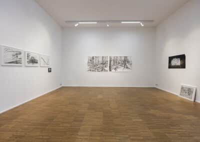 Julia Dorninger-(Re)mapping the border_2