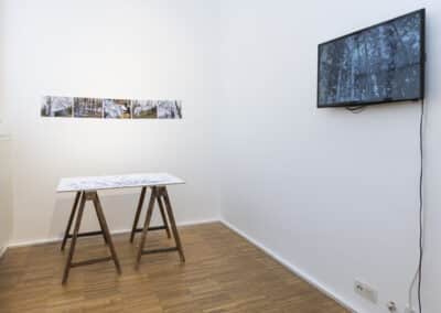 Julia Dorninger-(Re)mapping the border_8