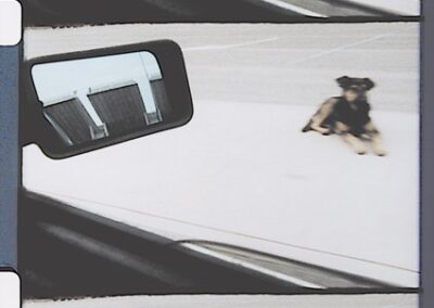 Jogging, Josef Dabernig