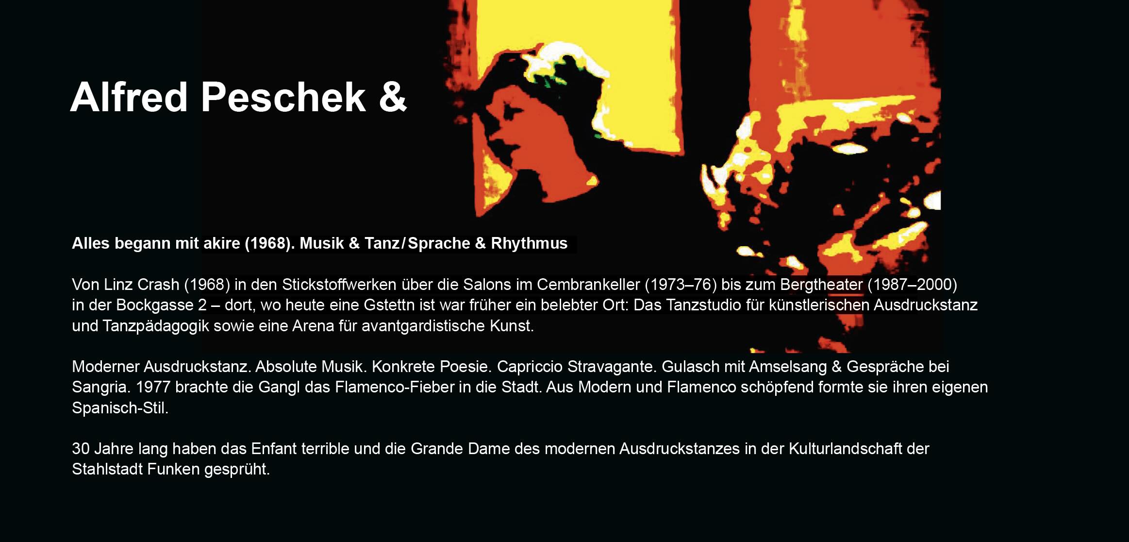 Coverbild Performanceabend II